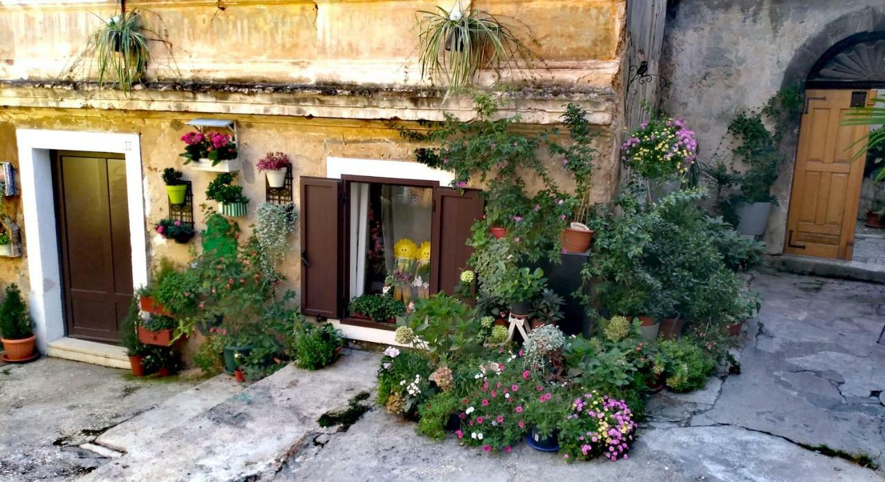 Flora Apartment *