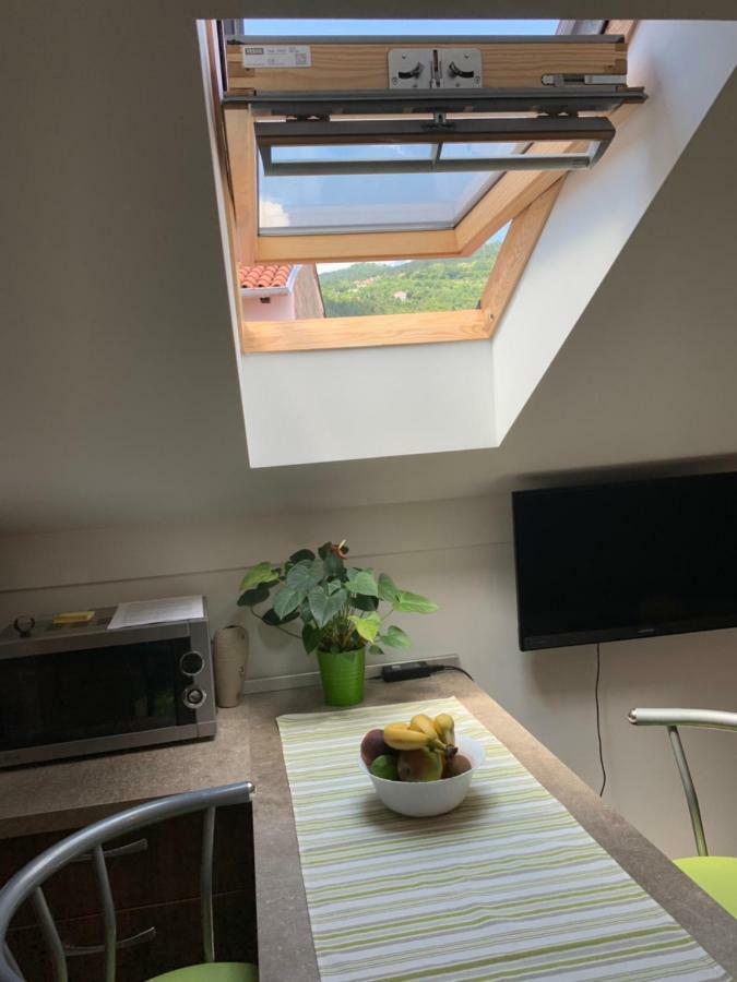Apartment Flora